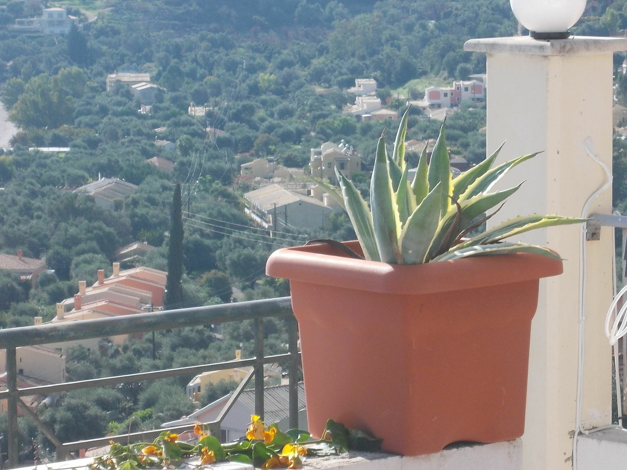 Sarakinos Apartments Barbati Luaran gambar