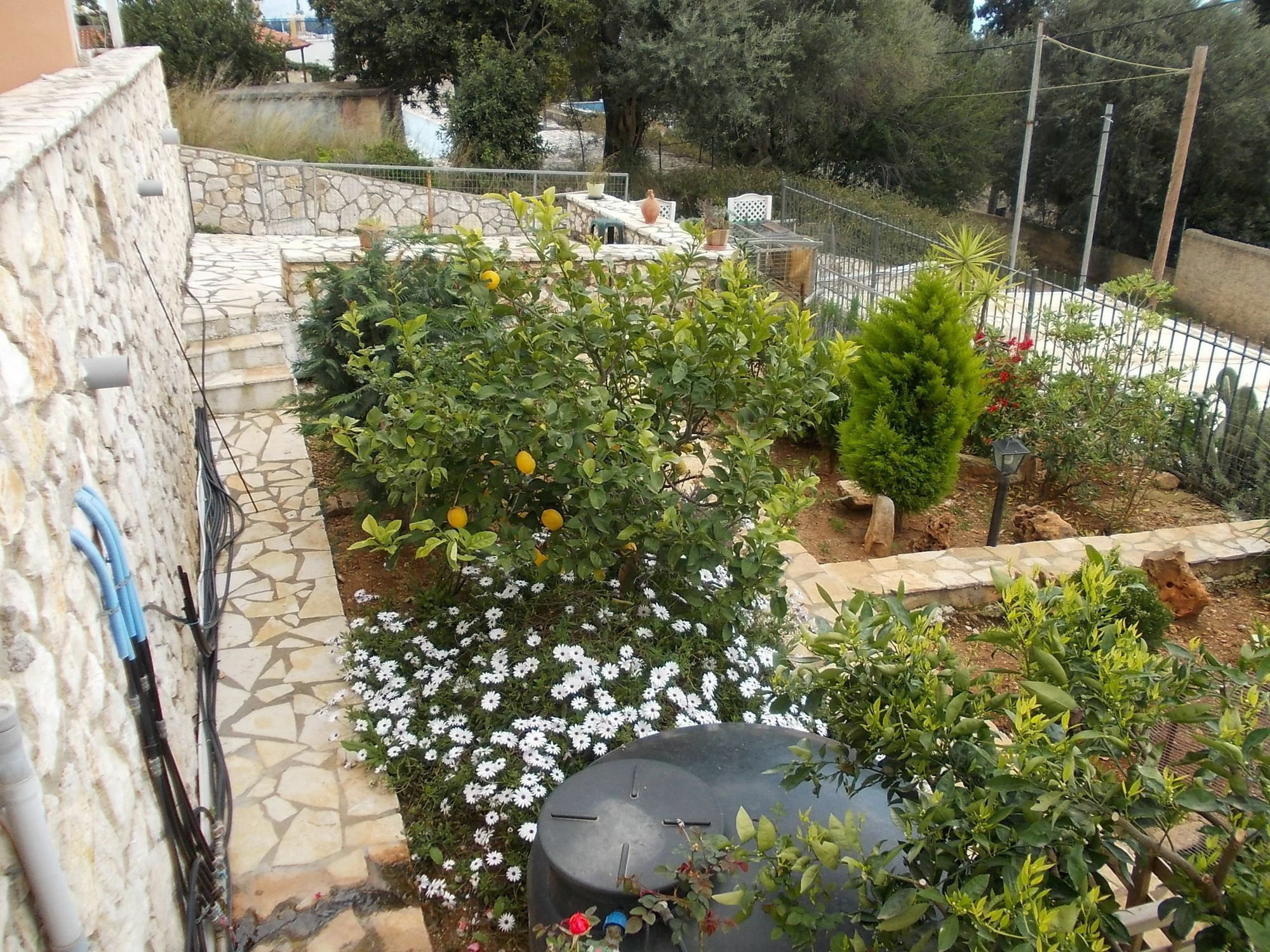 Sarakinos Apartments Barbati Luaran gambar